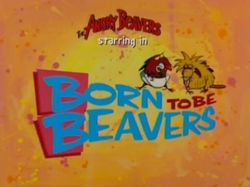 Born To Be Beavers