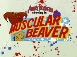 Muscular Beaver