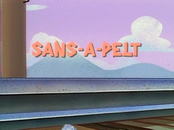 Sans-A-Pelt